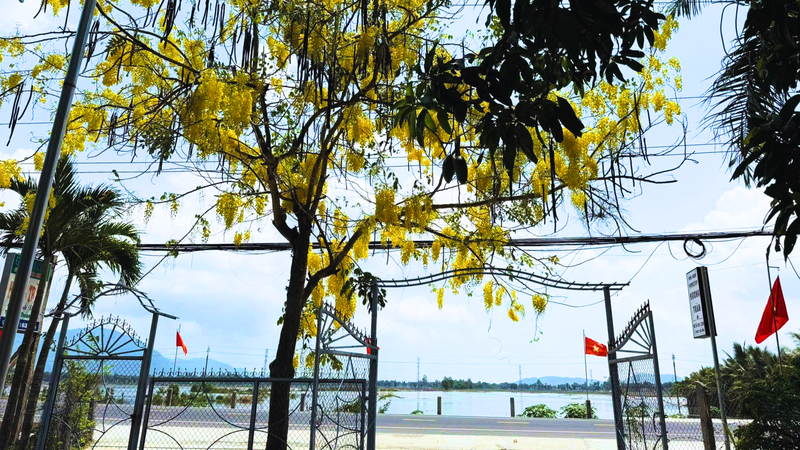 https://files.locallife.asia/images/800/1770083869199-Thiết kế chưa có tên (17).png